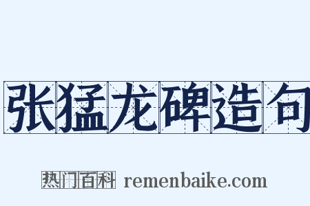 张猛龙碑造句是什么意思的图片